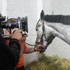 Galeriebild